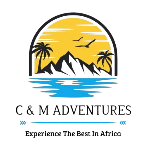 WhatsApp_Image_2025-06-22_at_10.31.19_PM-removebg-preview